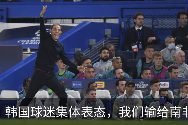 韩国球迷集体表态，我们输给南非，是因为中国国足坑了我们